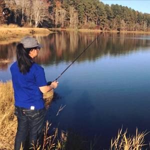 Meet your Posher, Connie